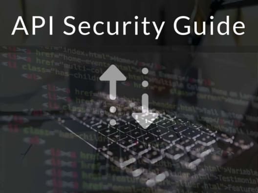 API Security Guide